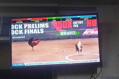 e sabong news today|Continuing e.